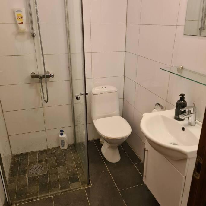 Lake View Apartment, Oldedalen Stryn Luaran gambar